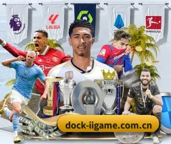 dock-iigame.com.cn APP - ayx